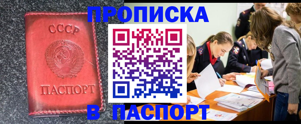 прописка для школы в Электростали